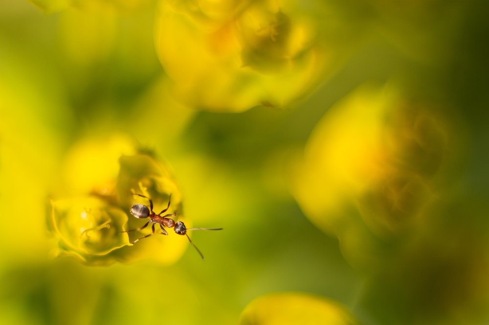 Photograph by Olena Anderson