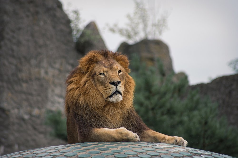 Photograph by Наталья Быстрая