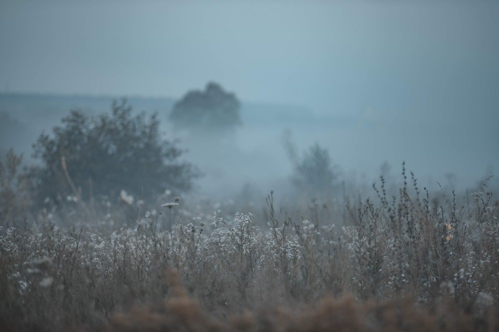 Photograph by Яна Толмачёва