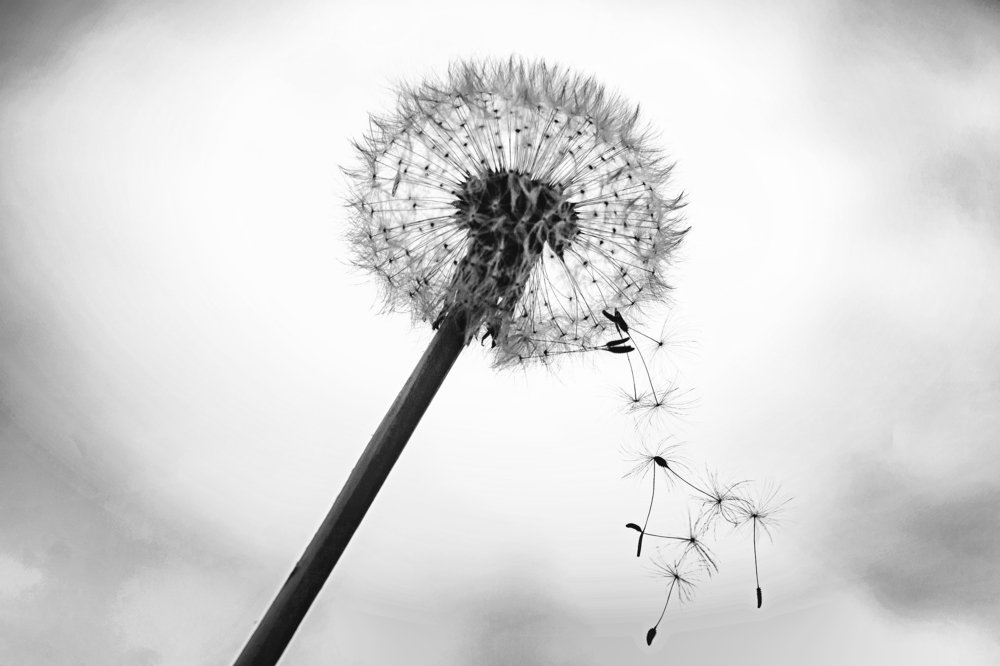 Тучка с дождем.