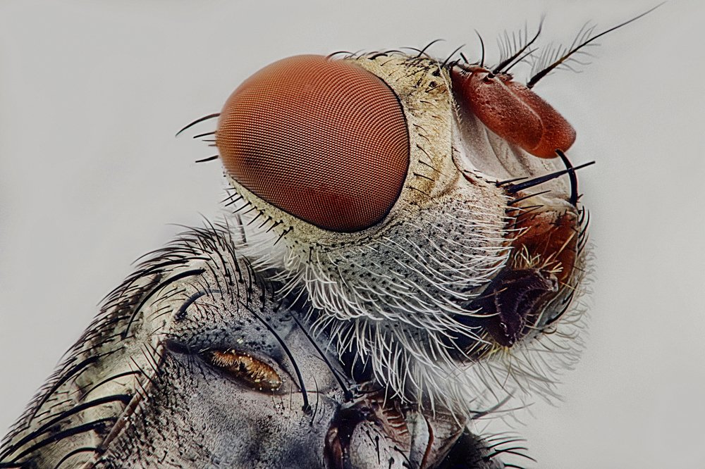 Photograph by Rui Santos