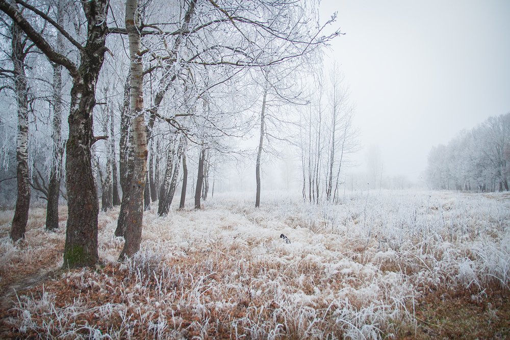 Photograph by Делана Романова