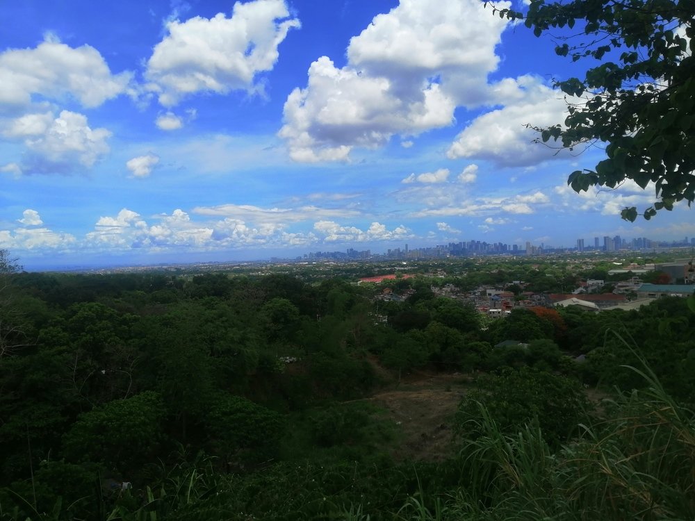 Photo #4655892