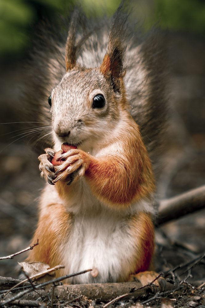 Photograph by Ильдус Шаруков