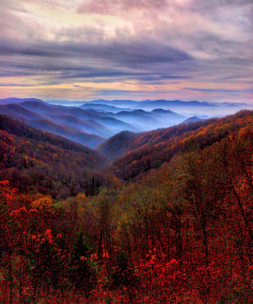 Photograph by Art Bisschop