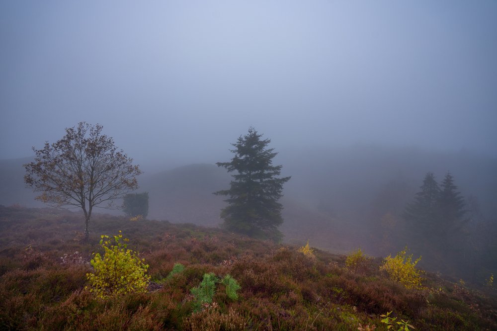 Photograph by Karim Qubadi