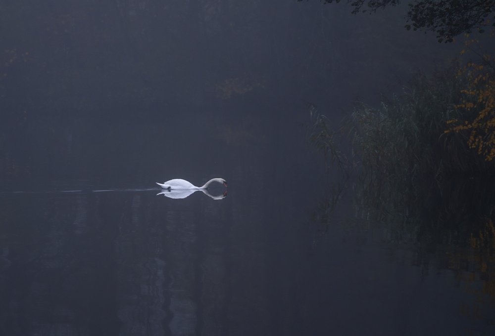 Photograph by Karim Qubadi