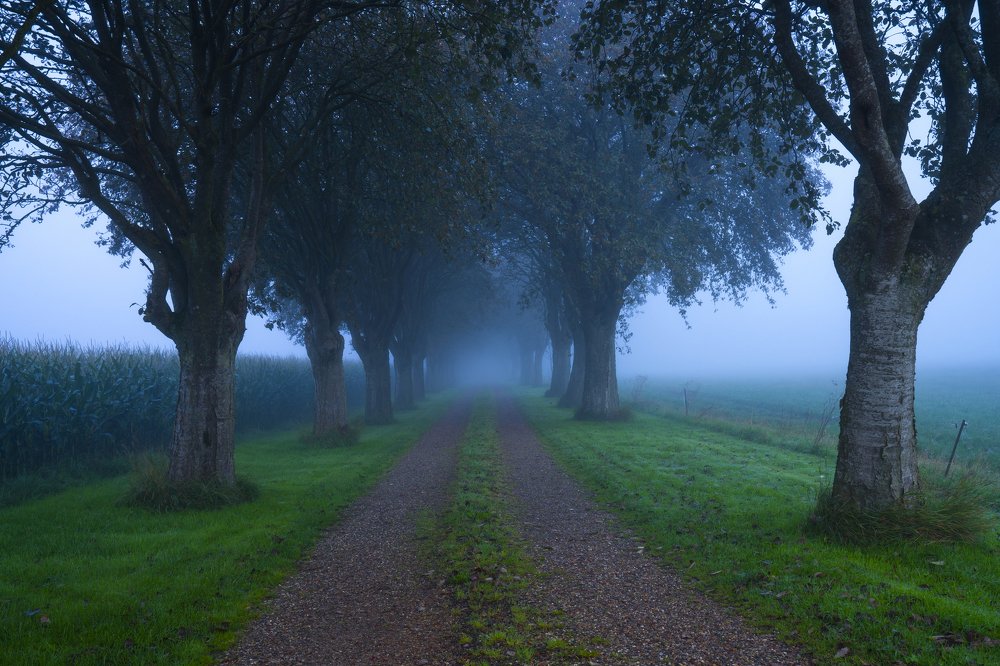 Photograph by Karim Qubadi