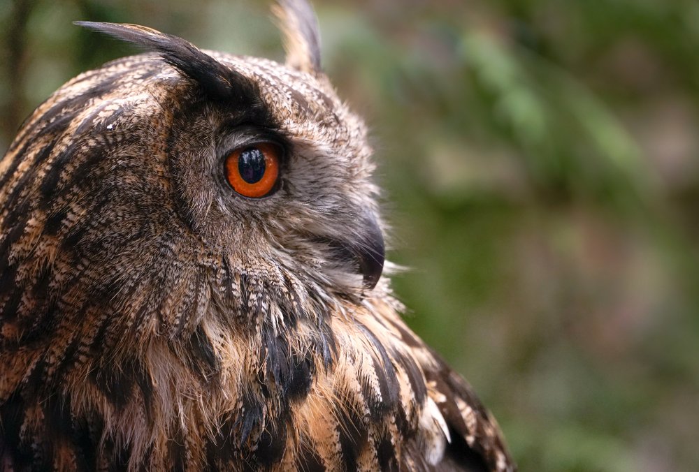 Photograph by Salim Ghuzie