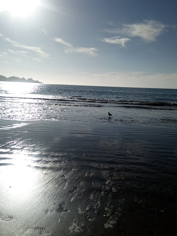 Photo #4655996
