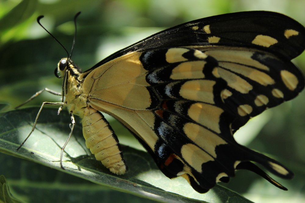 Photograph by Mario Israel Barrios