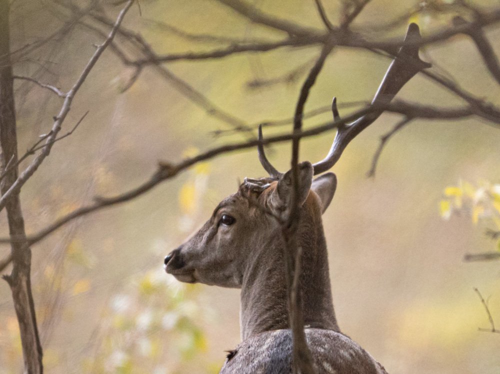 Photograph by Юрий Чернов