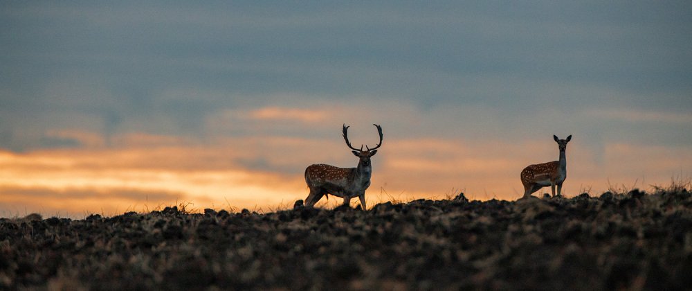 Photograph by Юрий Чернов