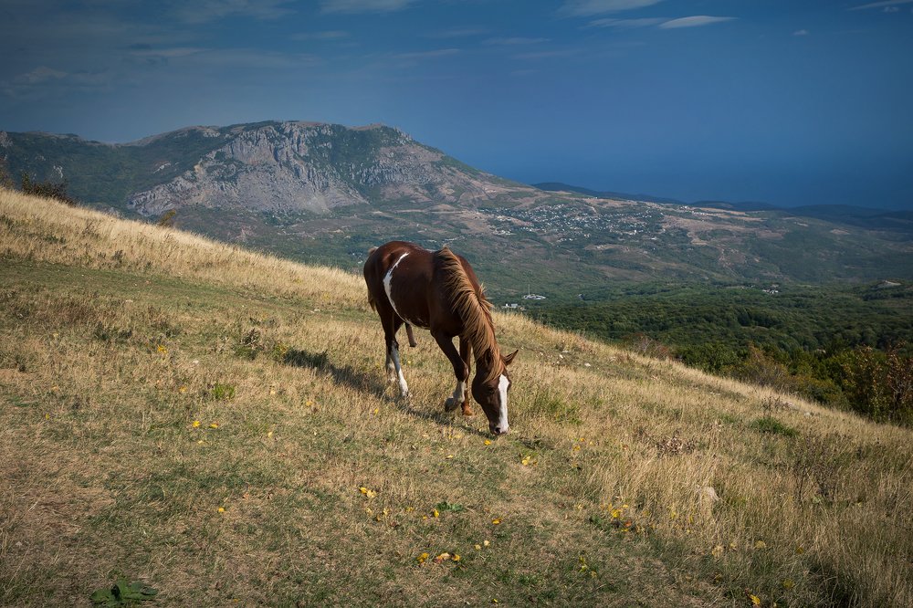 Фотография автора Владислав