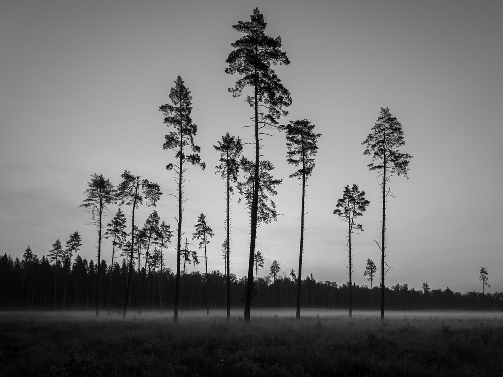 Photograph by Антон Зубков