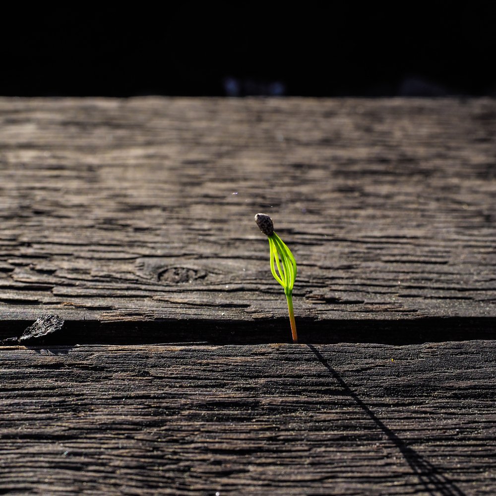 И всё-таки...