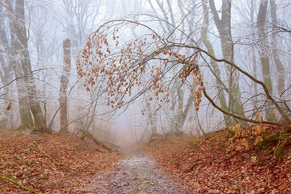 Photograph by Margo Margo