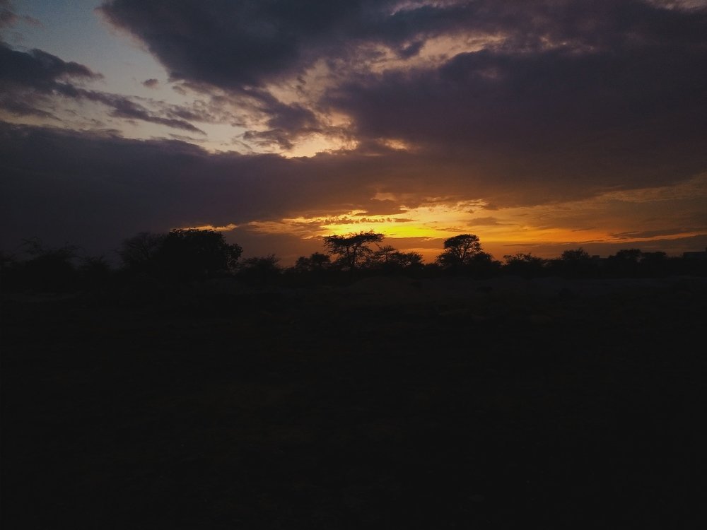 Photo #4656237