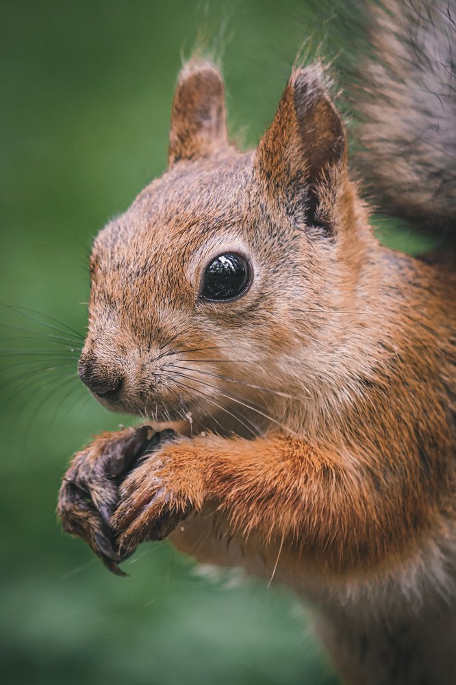 Photograph by Ильдус Шаруков