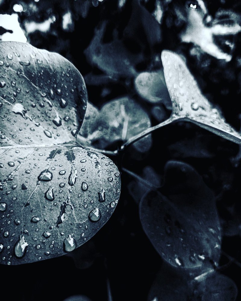 Photograph by Влад Имиров