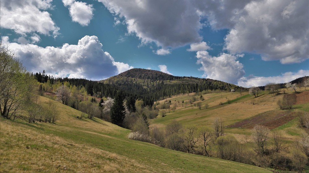 Photograph by Андрей Телибаев