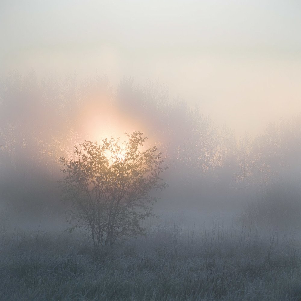 Photograph by Константин Гончаров