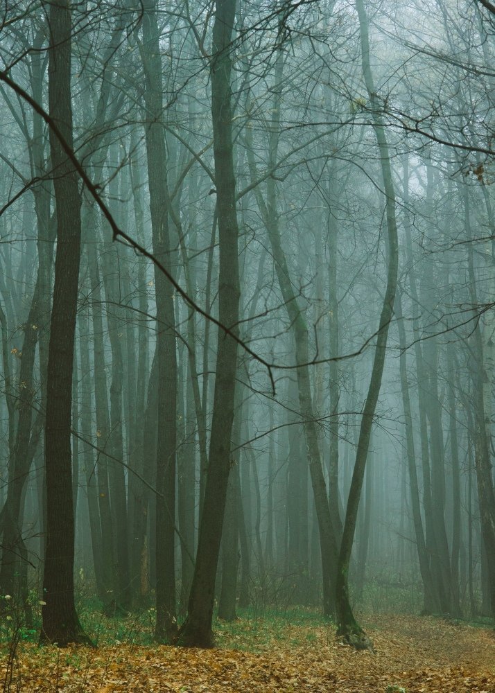 Photograph by Астрид Екатерина