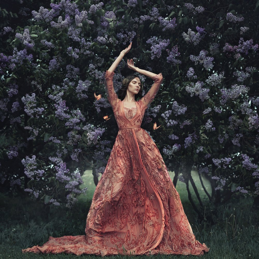 Цветение бабочек