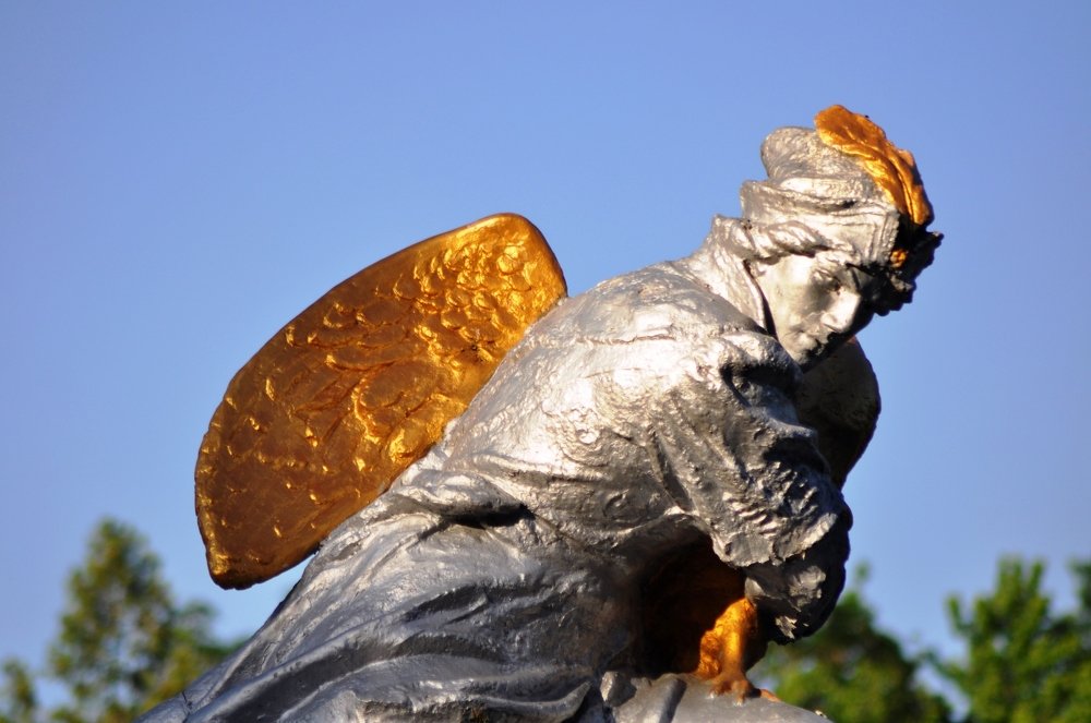 От Любви вырастают крылья!