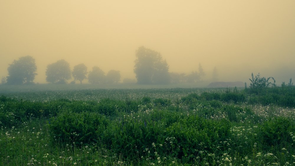 Photograph by Ольга Линк