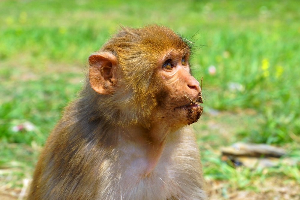 Пора умываться