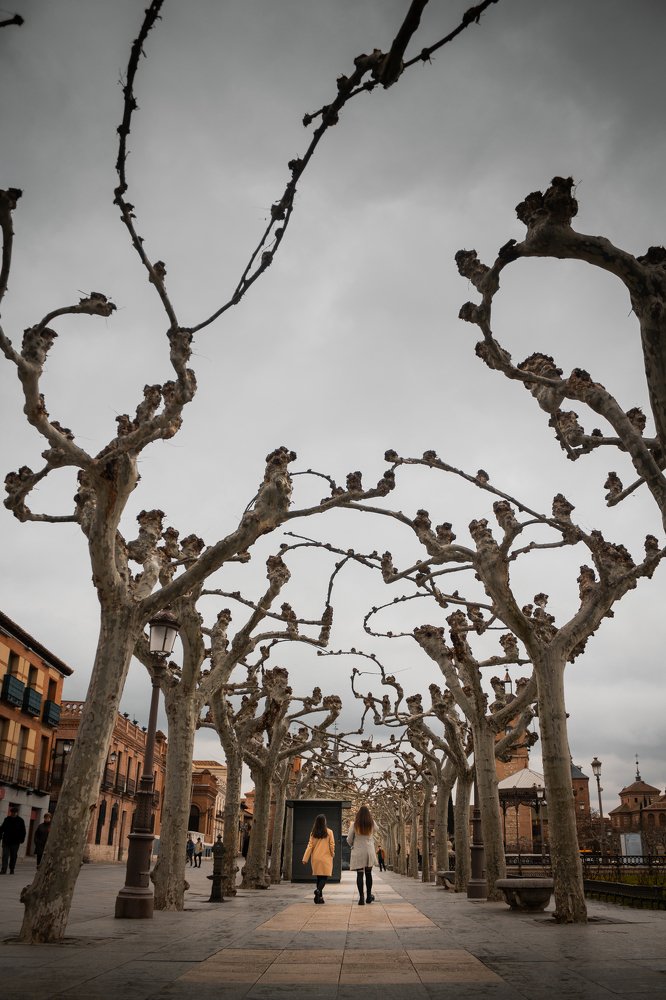 Photograph by Lucía Fóthy