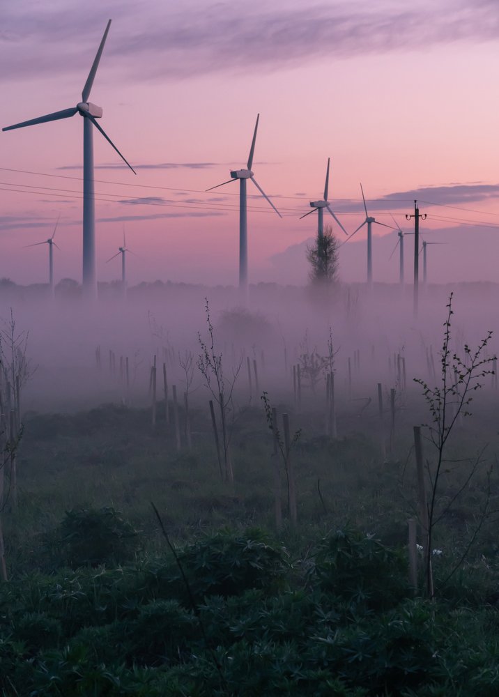 Photograph by Максим Мальцев