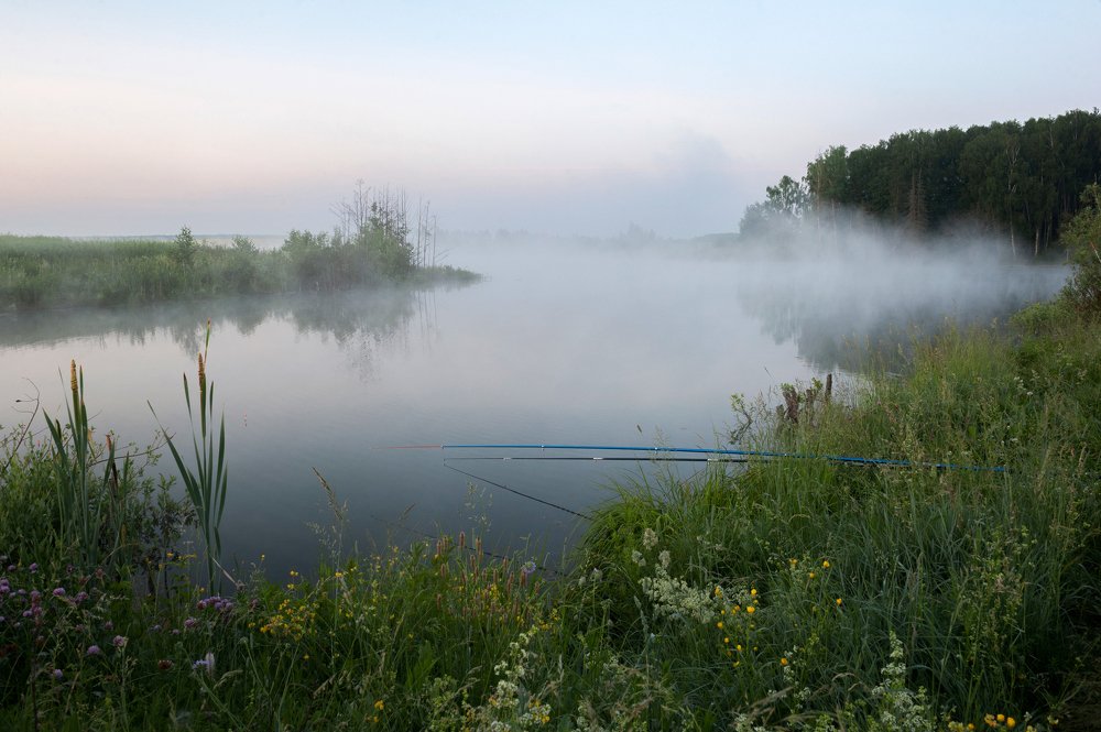 Рыбалка туманным утром