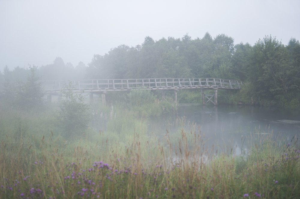 река Куность