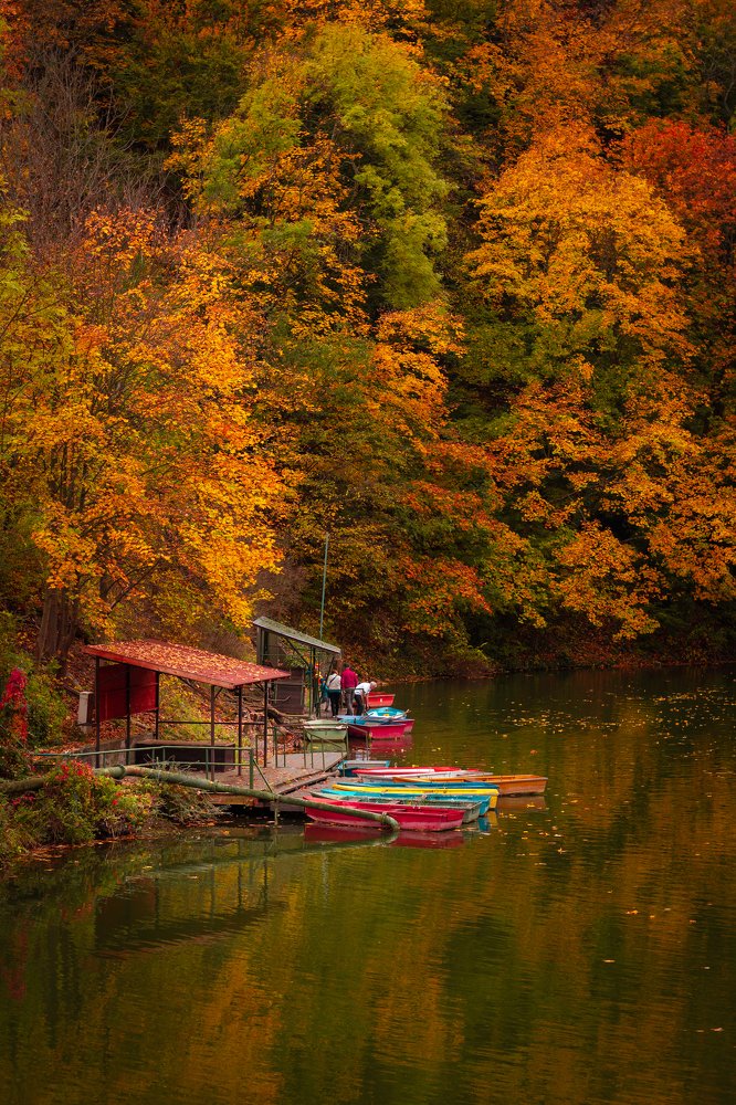 Photograph by Lucía Fóthy