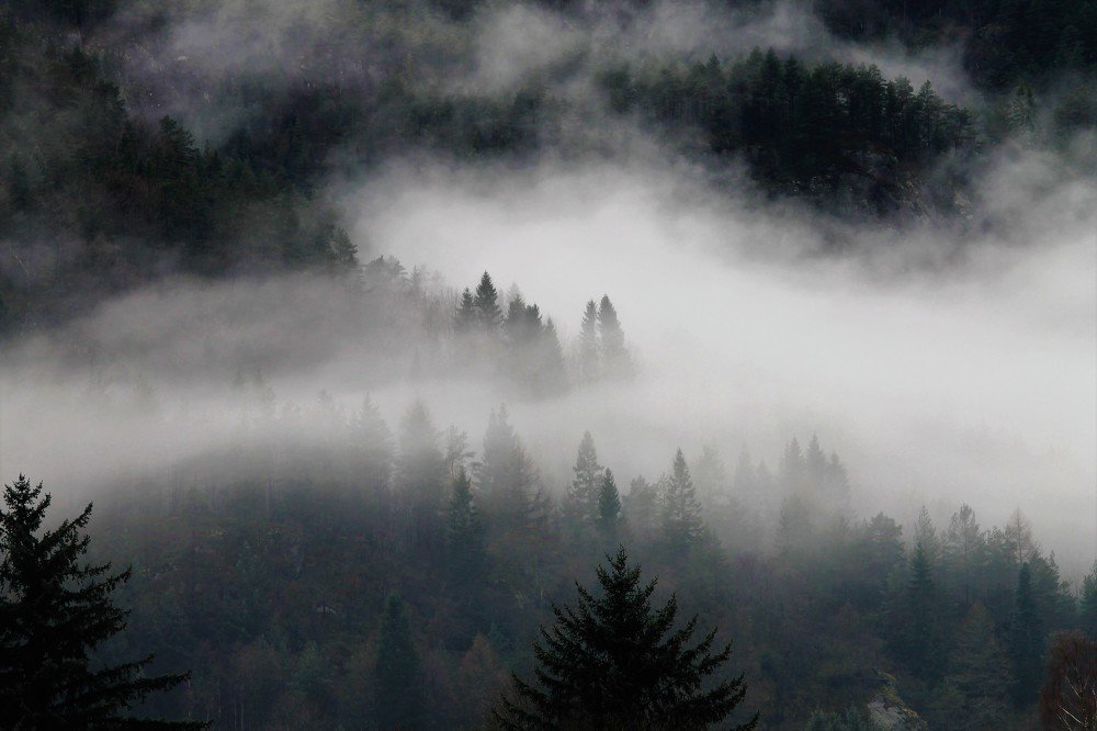 Photograph by Inese Firsova