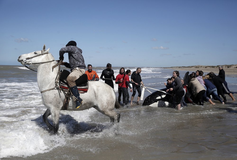 Photograph by Vicente Mauro Rizzi