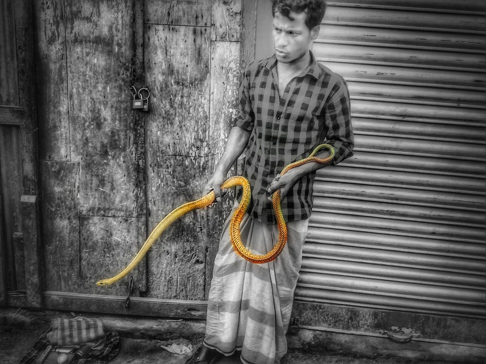 Photograph by Lokman Hossain MD