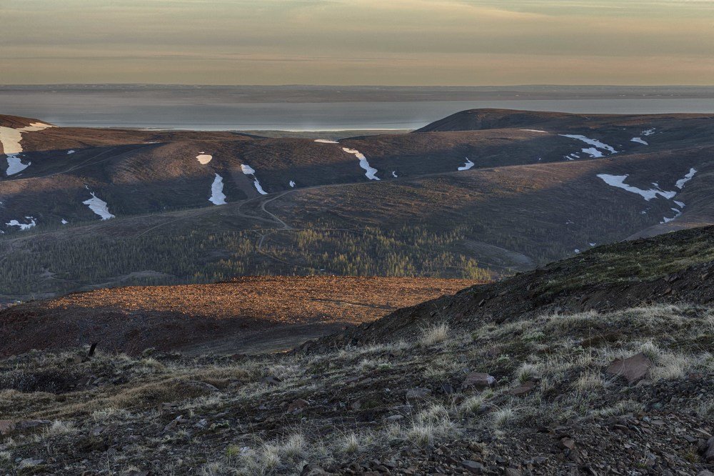 Photograph by Сергей Купчиков