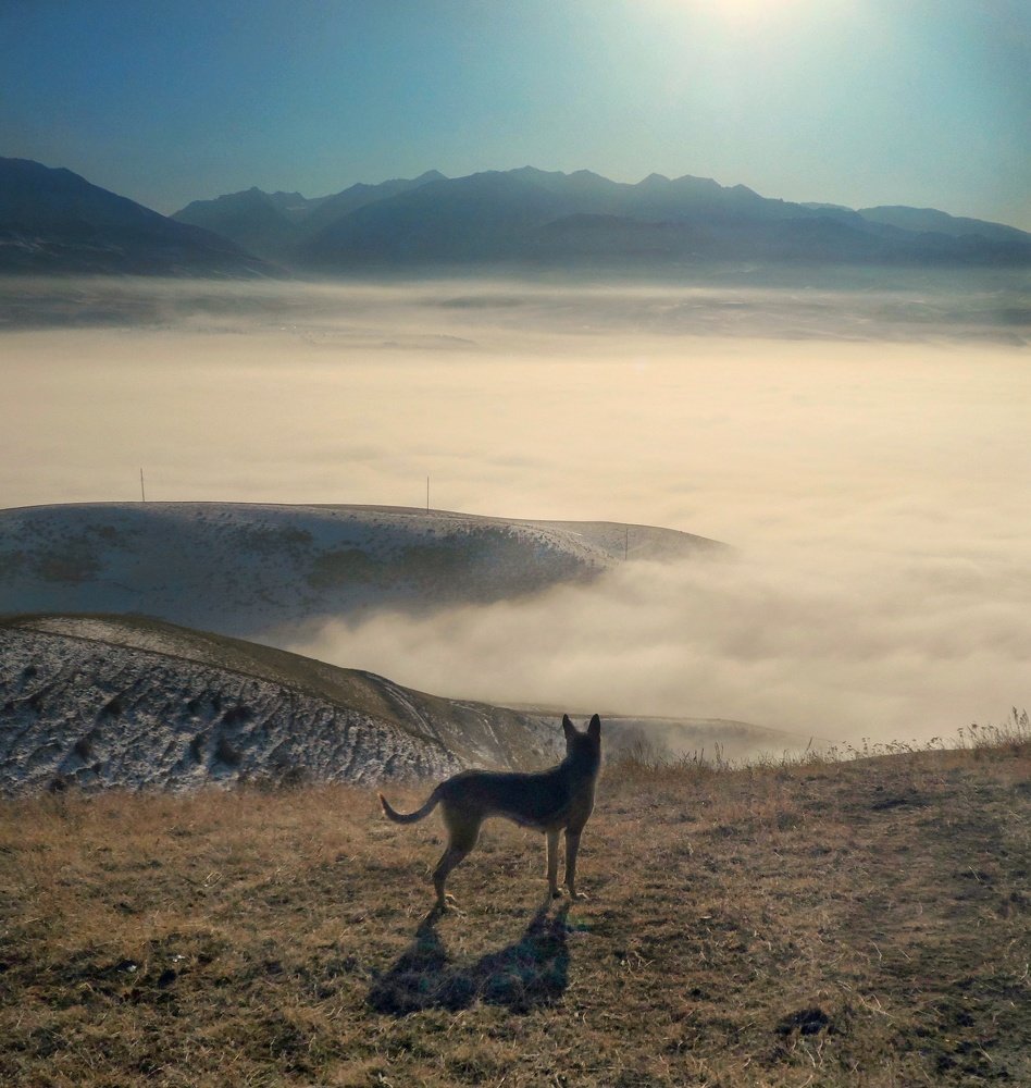 Photograph by Орынбек Асилбаев