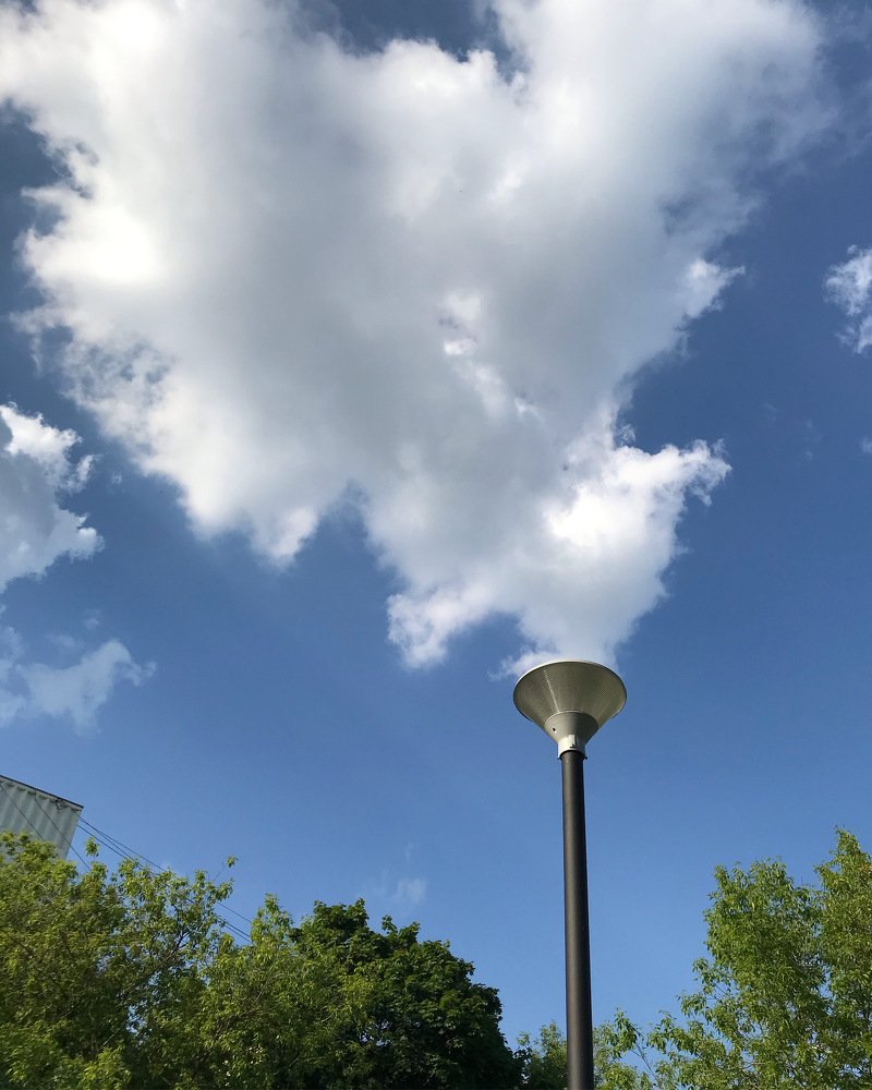 Photograph by Anna Karamurzina