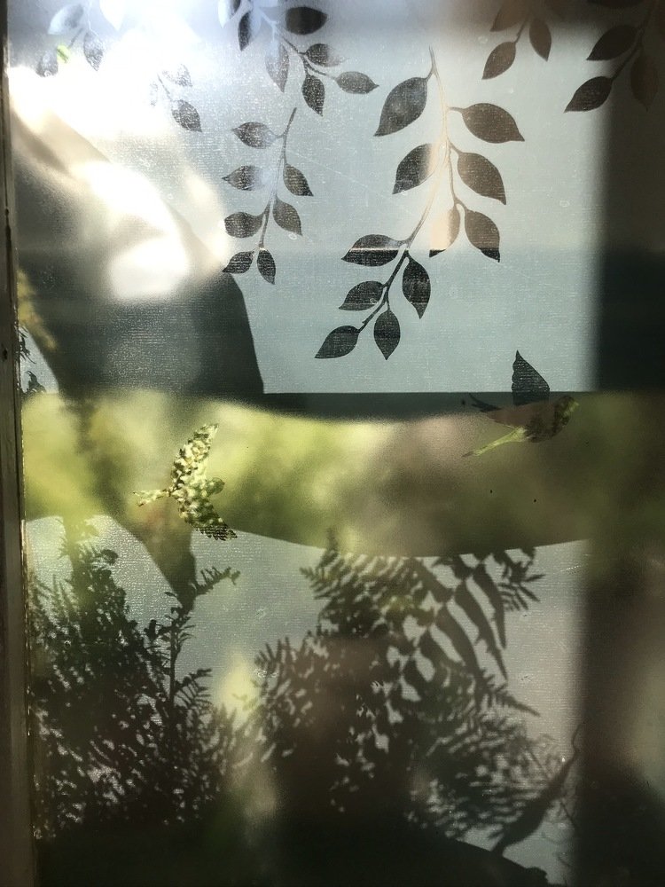 Photograph by Anna Karamurzina