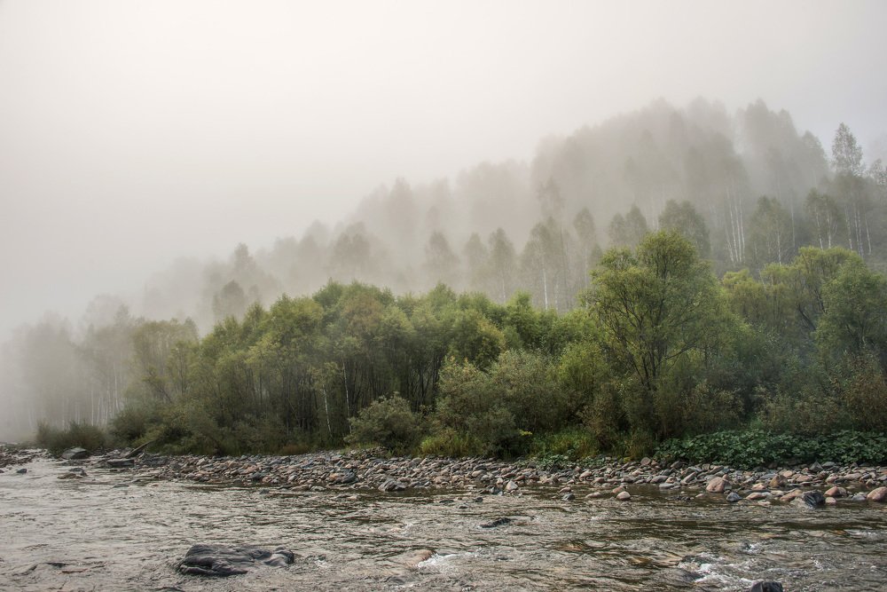 Утро в лесу