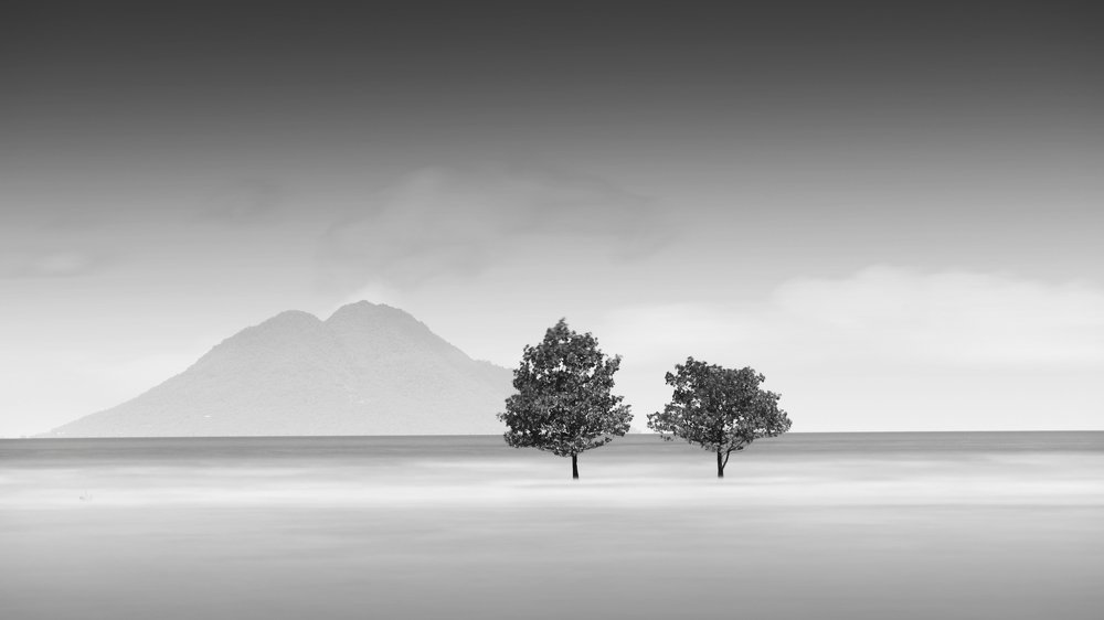 Фотография автора soo mui loh