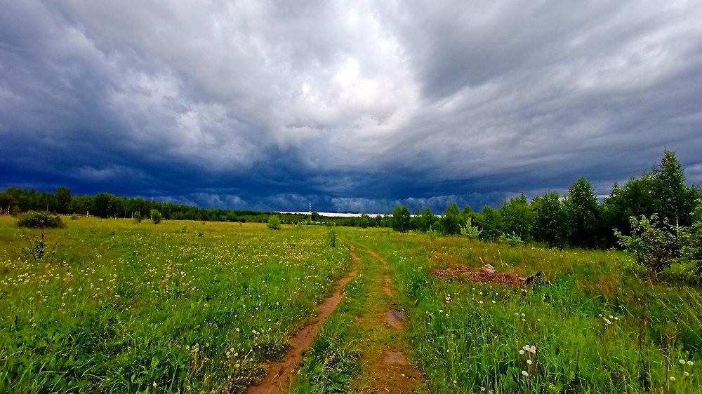 Photograph by Владимир Афанасьев