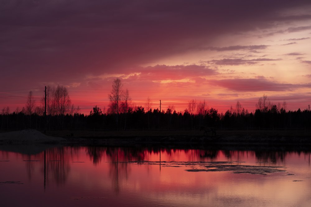 Photograph by Sandra