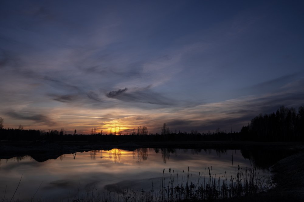 Photograph by Sandra