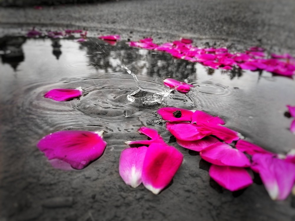 Photograph by Jana Kaščáková