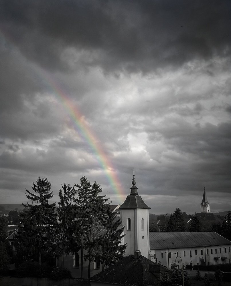Photo #4656926